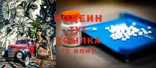 гашик Новозыбков