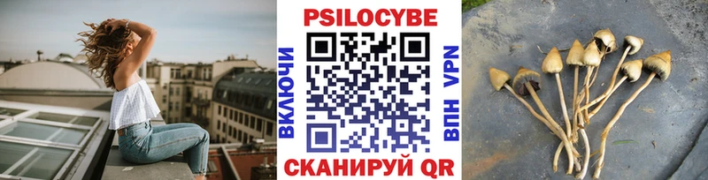 Галлюциногенные грибы прущие грибы Ростов